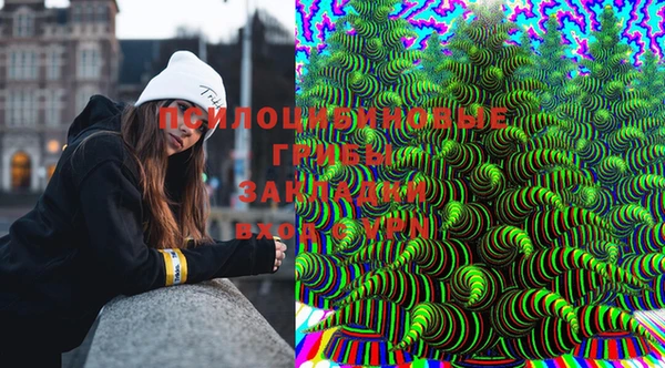 PSILOCYBIN Вяземский