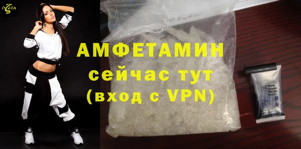 PSILOCYBIN Вяземский