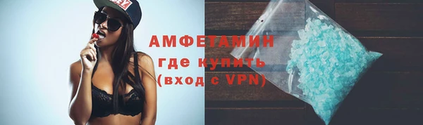 PSILOCYBIN Вяземский