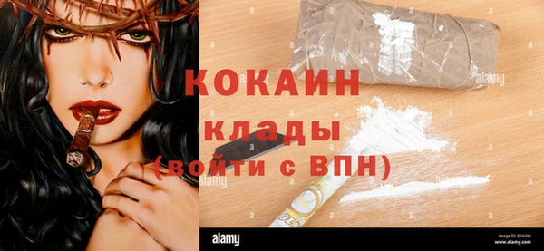 молекула духа Вязьма
