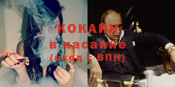 PSILOCYBIN Вяземский