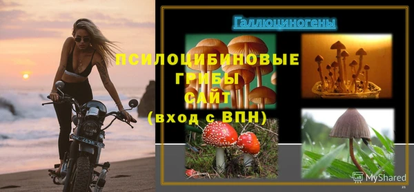 молекула духа Вязьма