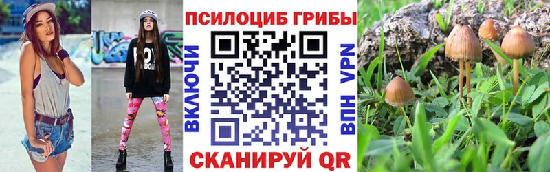 Псилоцибиновые грибы Cubensis  Купить где  Светлогорск 