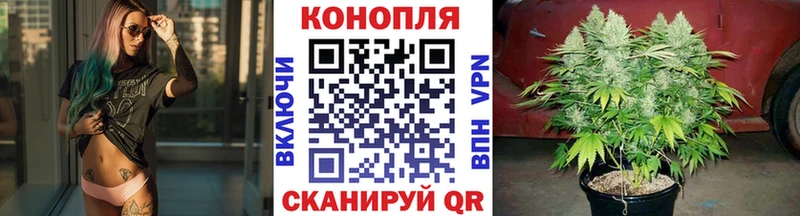 Купить Светлогорск Бошки Шишки OG Kush
